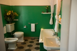 the-green-carpet-room-bathroom